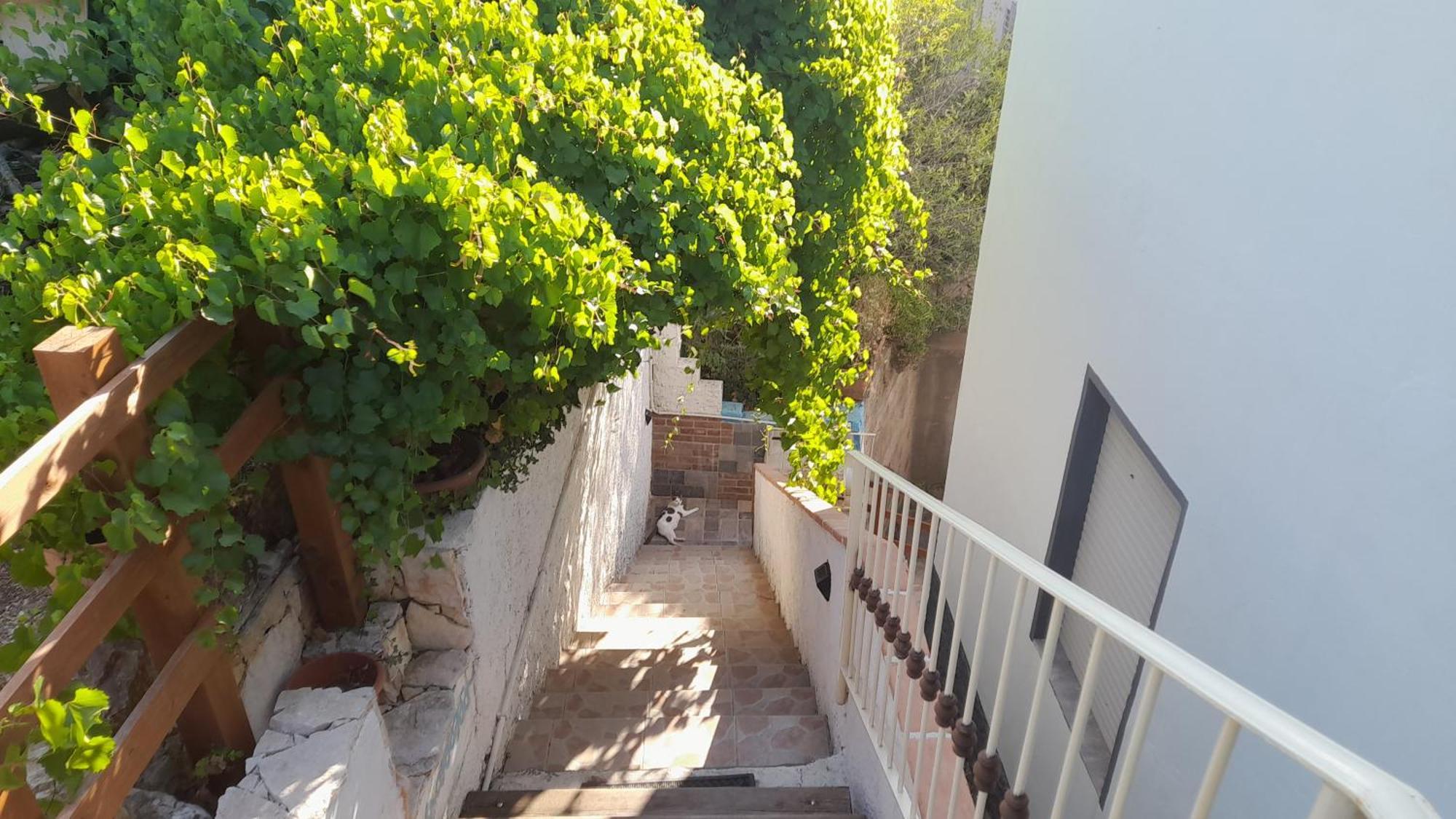 B&B Bella Vista Dorgali Exterior photo